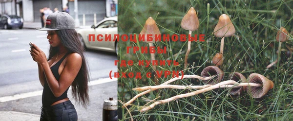 прущая мука Михайловка
